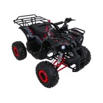 Mamido Detská benzínová štvorkolka RamiGO WILDPEAK 110CC čierno-červená