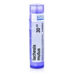 LACHESIS MUTUS 30CH granule 4 g
