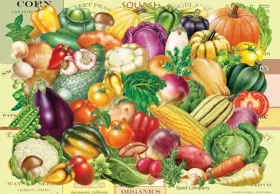 GRAFIKA Puzzle Záhradníkov poklad