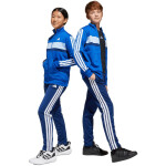 Tepláky adidas Seasonal Essentials Tiberio 3-Stripes Jr JC7518 128 cm