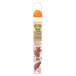 Safari Ltd. Safari Ltd. Tuba - Ľudské orgány