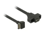 DeLock kábel s montážou na panel USB 3.1 Gen 2 key A 20 pin samec USB 3.1 Gen 2 USB Type-C samica 45 cm (85326-DE)