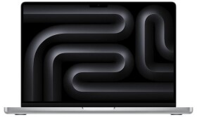 Apple MacBook Pro 14?? Silber M4 10-Core CPU 10-Core GPU (32GB)
