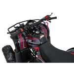 Mamido Detská benzínová štvorkolka RamiGO WILDPEAK 110CC čierno-červená