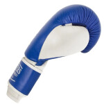 Kožené boxerské rukavice MASTERS RBT-TRW 01210-02 modrá