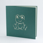 Veselá Stena 3D prianie Žaba