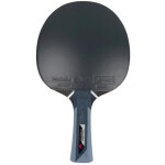 ŠPORT Pingpongová raketa Timo Boll Titanium SUN/25726 - Butterfly one size černá