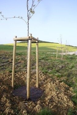 Rozložiteľná ekotextília zo 100% biomasy (s prírodnými vláknami) – Agrotex EKO+  - 157 g/m² 1×50 m [50 m²]