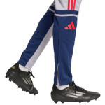 Nohavice adidas Squadra 25 Training M JP3372 M