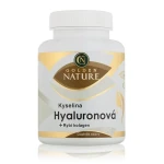 Golden Nature Kyselina hyalurónová+Rybí kolagén+Vit. C 100 cps. (GN000031)