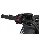 Mamido Detská benzínová štvorkolka RamiGO MONSTER 200CC čierno-biela