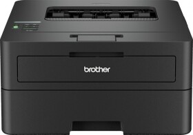 Brother HL-L2460DN (HLL2460DNYJ1)