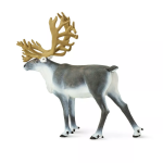 Safari Ltd. Safari Ltd. Sob polárny