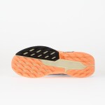 Tenisky Nike Pegasus Trail 5 Gore-Tex Ghost/ Black-Malt-Orange Pulse EUR 37.5