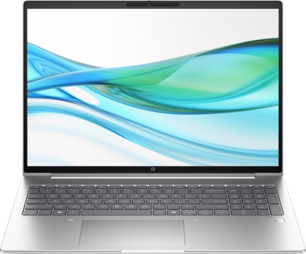 HP HP ProBook 460 G11 CU5 125U/16GB/512SSD/W11Pro silver