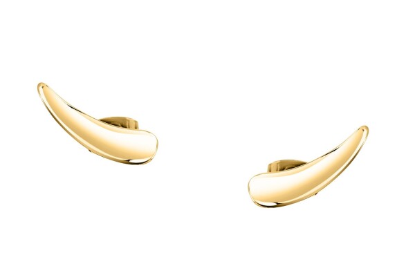 Morellato Pozdĺžne pozlátené náušnice Design SAYP11