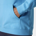 Helly Hansen HH Box Mikina M 53289 621 M