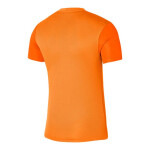 Pánske tréningové tričko Dri-FIT Trophy DR0933-819 Nike cm)