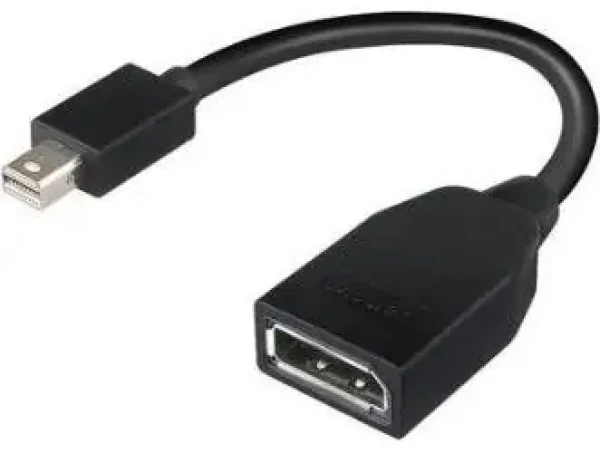 Lenovo 4X90L13971 / Redukcia / Mini DisplayPort (M) - DisplayPort (F) / Čierna (4X90L13971)