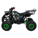 Mamido Detská benzínová štvorkolka RamiGO WILDPEAK 110CC čierno-zelená