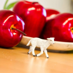 Safari Ltd. Safari Ltd. Ovca domáca