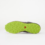 Tenisky Salomon Speedcross 3 GTX Silves/ Huckle/ Blac EUR 42