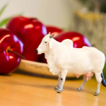 Safari Ltd. Safari Ltd. Figúrka - Tur domáci