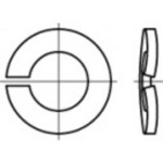 TOOLCRAFT 1060485 pérová podložka Vnútorný Ø: 3.1 mm DIN 128 nerezová ocel 1000 ks; 1060485
