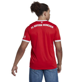 Tričko adidas FC Bayern H Jsy M H39900 men M