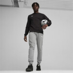 Pánska mikina Puma Team Goal Casuals Crew Neck M 658592 03 XL