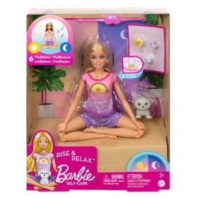 Mattel HHX64 Barbie Self-Care - Bábika a meditácia od rána do večera