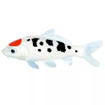 Safari Ltd. Safari Ltd. Figúrka - Koi kapor