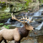 Safari Ltd. Safari Ltd. Figúrka - Wapiti