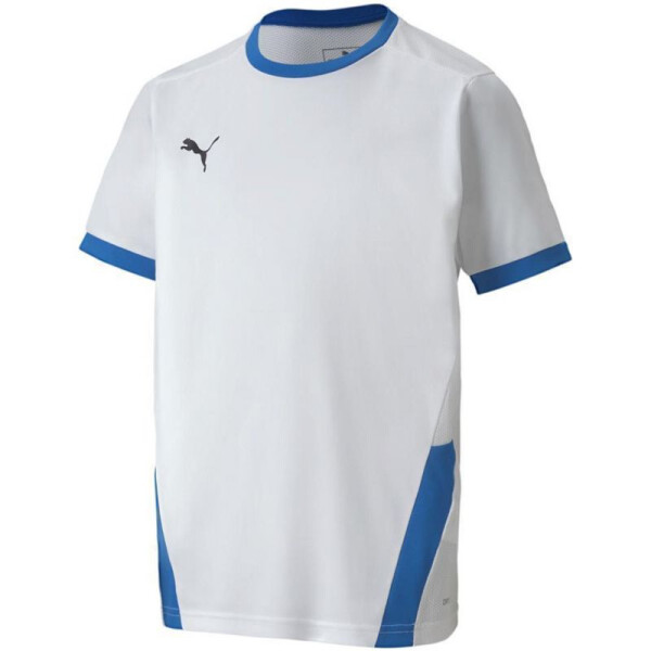 Puma teamGOAL 23 Jersey Jr 704160 12 tričko