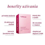 VELLENA Ženské zdravie grep 30 vrecúšok