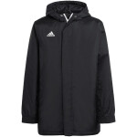 Adidas Entrada 22 Stadium Jr IB6078