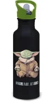 STOR Fľaša na pitie hliníková Mandalorian - Grogu / Fľaša na pitie / 815 ml (ST74977EPM)