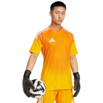 Adidas Tiro 25 Competition Brankársky dres s krátkym rukávom M JN4502 Muži S