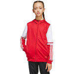 Mikina adidas Squadra 25 Hoodie Jr JD4801 152CM