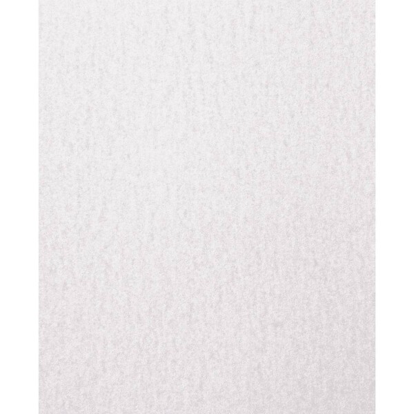 PFERD TOOLS BP ECO AC 230X280 A 120 45015244 brúsny papier Zrnitosť 120 (d x š) 280 mm x 230 mm 50 ks; 45015244