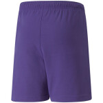 Detské šortky TeamRise Jr 704943 10 - Puma 152CM