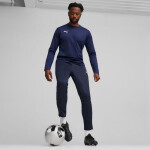 Puma Team Goal Training M nohavice 658639 06 L