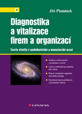 Diagnostika a vitalizace firem a organizací, Plamínek Jiří