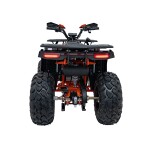 Mamido Detská benzínová štvorkolka RamiGO PRO RIDER 200CC oranžová