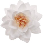 Biele kvety z jedlého papiera 7 cm 15 ks biele - Dekora - Dekora