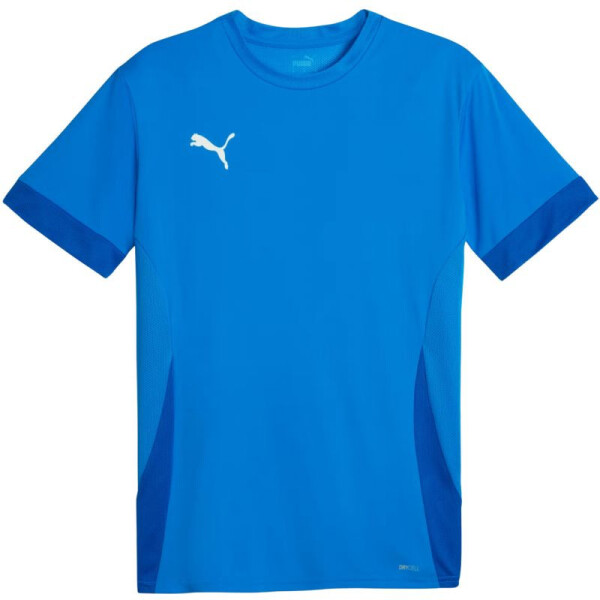 Puma teamGoal Matchday Jersey M 705747 02 muži M