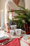 Rörstrand Porcelánový hrnček Swedish Grace Winter 100 ml