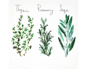 Obraz na plátne Bylinky, 28x28 cm%