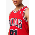 Mitchell & Ness Chicago Bulls NBA Dennis Rodman M tričko SMJYGS18154-CBUSCAR97DRD pánske M
