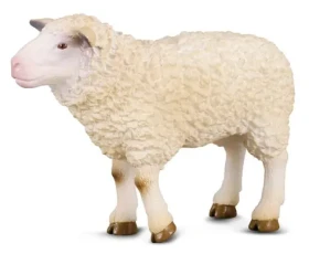 Collecta Ovce